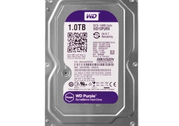 Used WD Purple 1 TB Hdd